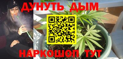 сатива Ирбит