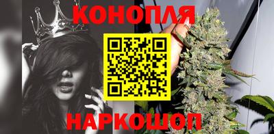 сатива Ирбит